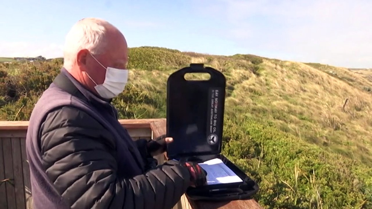 Warrnambool suffers disappointing whale season