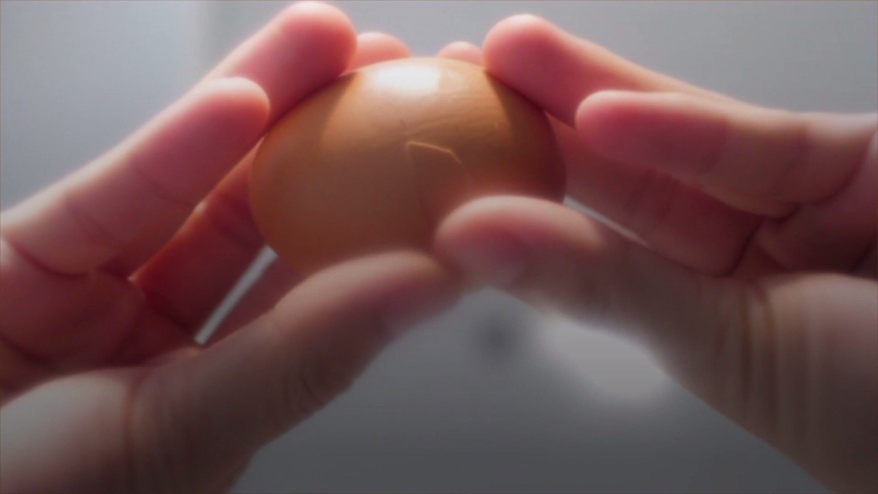5 Things You Don't Know About Storing Eggs