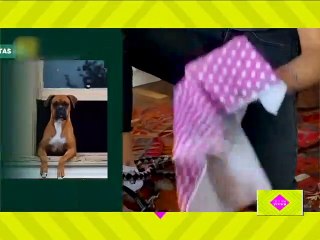 Buena Vibra 21SEP2020 | Miastenia Gravis