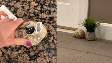 TikTok Users Are Showing Their Hidden Secrets #NobodysGonnaKnow