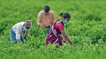 Decoding farm bills: Pro-farmer or anti-farmer?