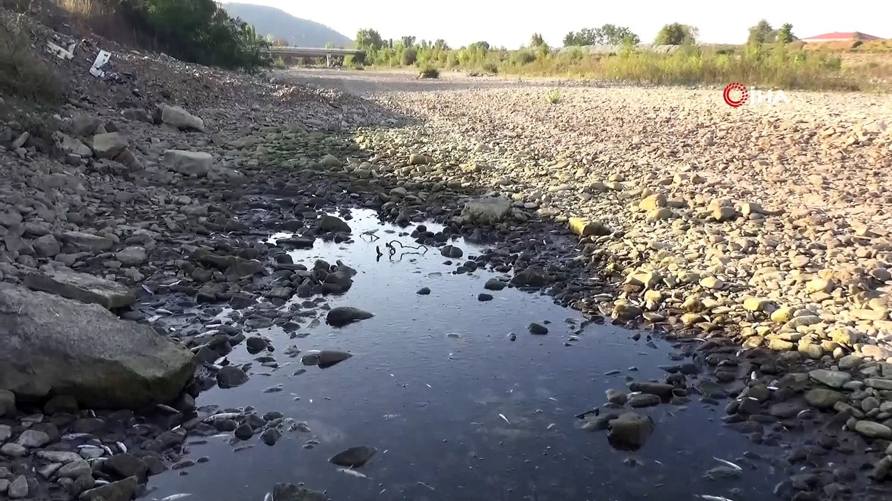Barajda su seviyesi düştü yüzlerce balık telef oldu