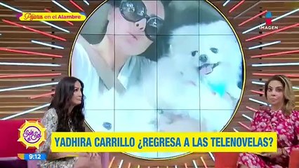 ¡ROMPE EL SILENCIO! Yadhira Carrillo revela si regresará a las telenovelas