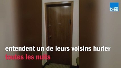 Ce quimpérois hurle à la mort tous les soirs, les voisins n'en dorment plus