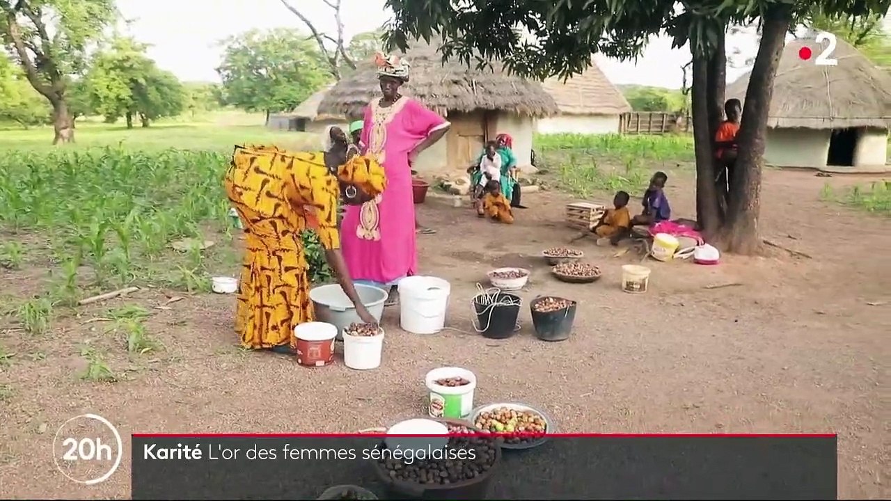 Sénégal : le karité fait travailler et vivre les femmes