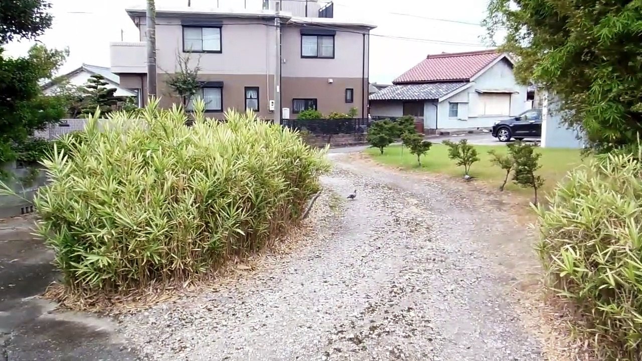 Happy Couple at the Old Japanese Farm House
