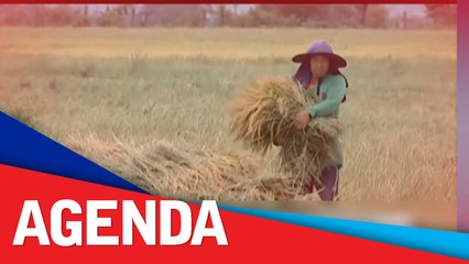 DA can get budget from DepEd in absence of physical classes —solon