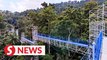 Epic Forest Skywalk offers visitors stunning views of Kuala Lumpur forest