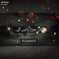 Best Tik tok video uploaded by Alibhai (10)