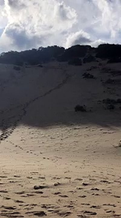 Surfer du sable à la mer