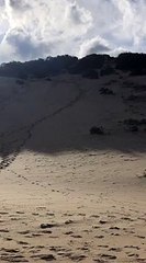 Surfer du sable à la mer
