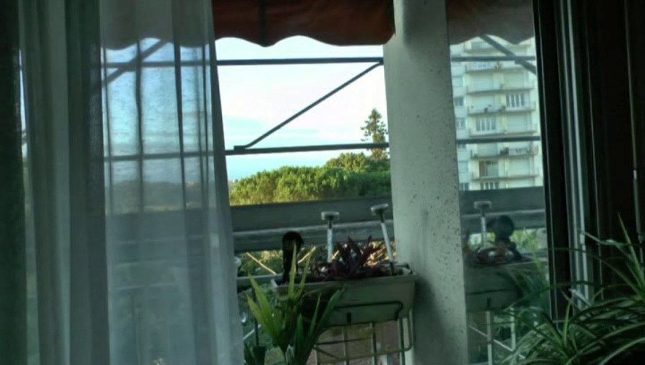 LES W-D.D. MICHOU64 NEWS - 7 SEPTEMBRE 2020 - PAU - RAVALEMENT MES BALCONS FIN PRÊTS !