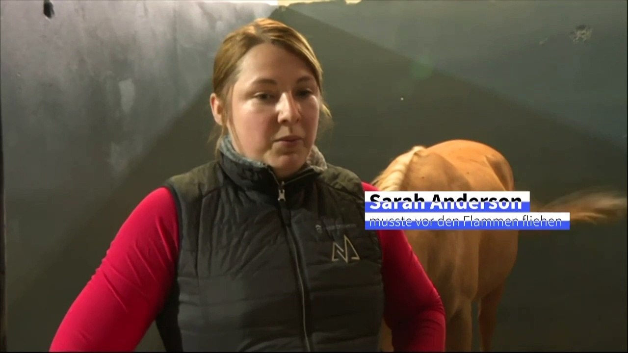 Brände in Oregon: Reiterhof wird zum Tierasyl