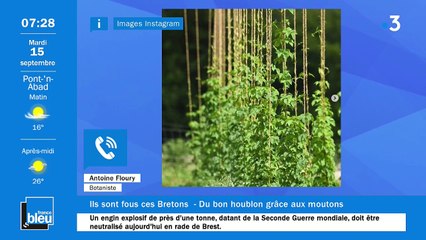 La matinale de France Bleu Breizh Izel du 15/09/2020