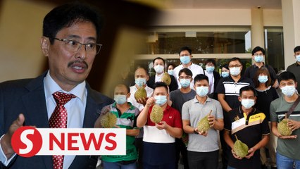MACC: Durian farmers weren't called in over Raub durian issue
