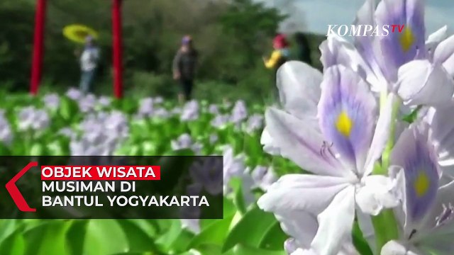 Kalinampu Park. Destinasi Wisata Baru di Yogyakarta