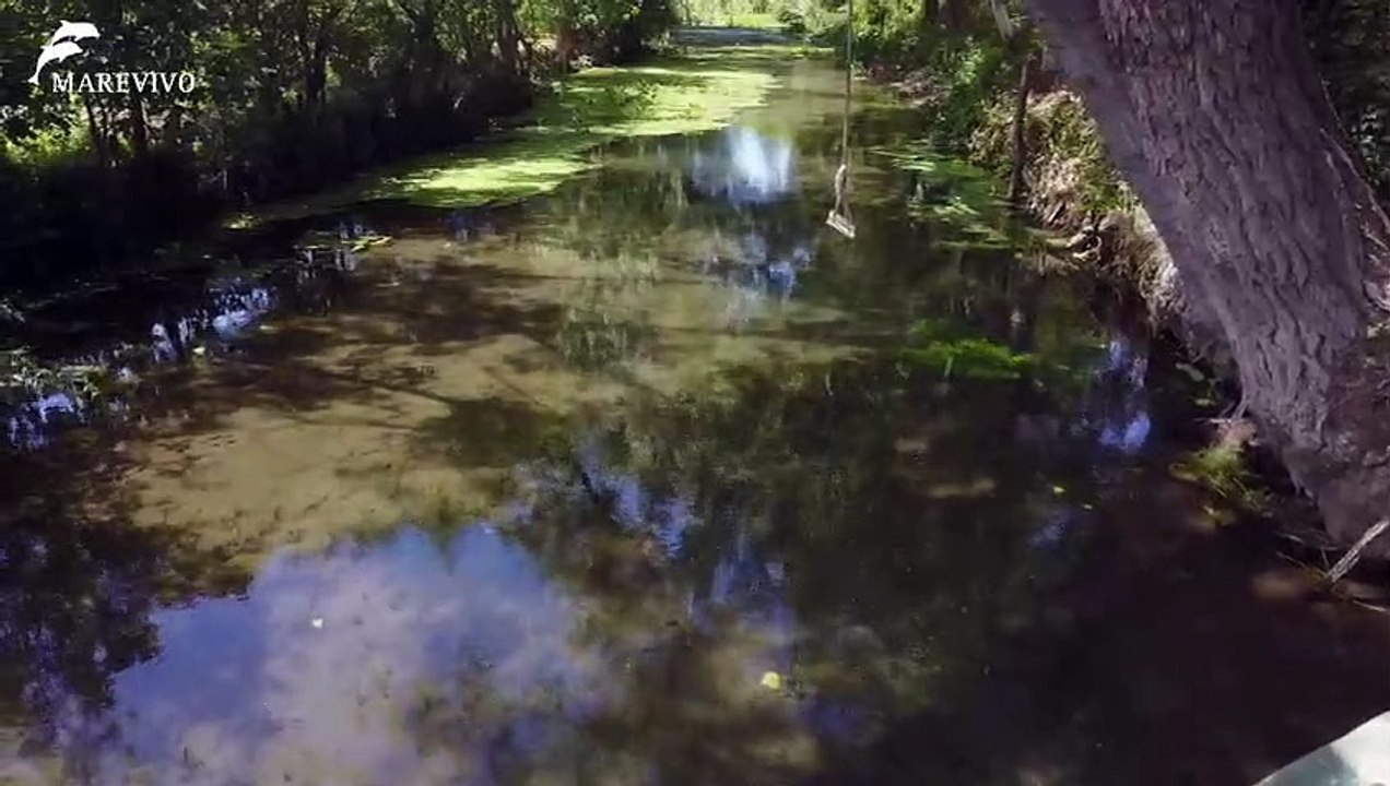 Il fiume Sarno, dalla sorgente al mare