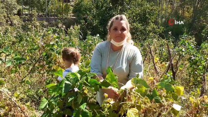 Kadınların kışlık yiyecek mesaisi