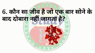 Interesting and amazing questions | मजेदार प्रश्न | interesting GK GS | most important GK GS