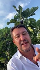 MATTEO SALVINI- FICHI PUGLIESI, CHE SPETTACOLO. FARE LA SPESA E UN ATTO POLITICO, COMPRIAMO ITALIANO