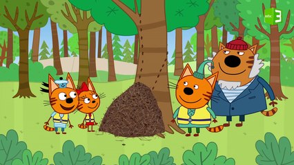 مغامرة القطط في الجزيرة 