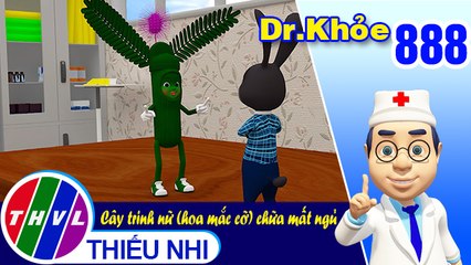 Dr. Khỏe - Tập 888: Cây trinh nữ (hoa mắc cỡ) chữa mất ngủ