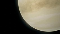 Hallados los primeros indicios de vida en Venus