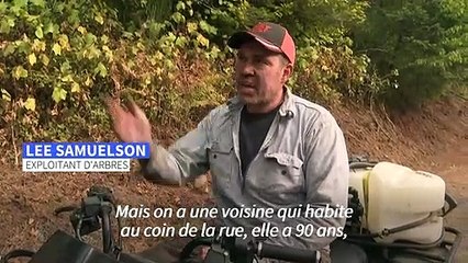 Dans l’Oregon, des fermiers attribuent les incendies à la gestion des forêts