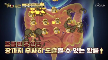 장까지 살아서 가는 ˹프롤린 유산균˼ #광고포함