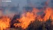 Le Brésil frappé lui aussi par des feux de forêt