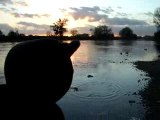 Sur les bords de la Loire...