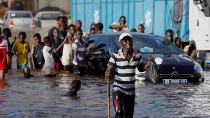 Senegal floods: Frustration grows over government's response