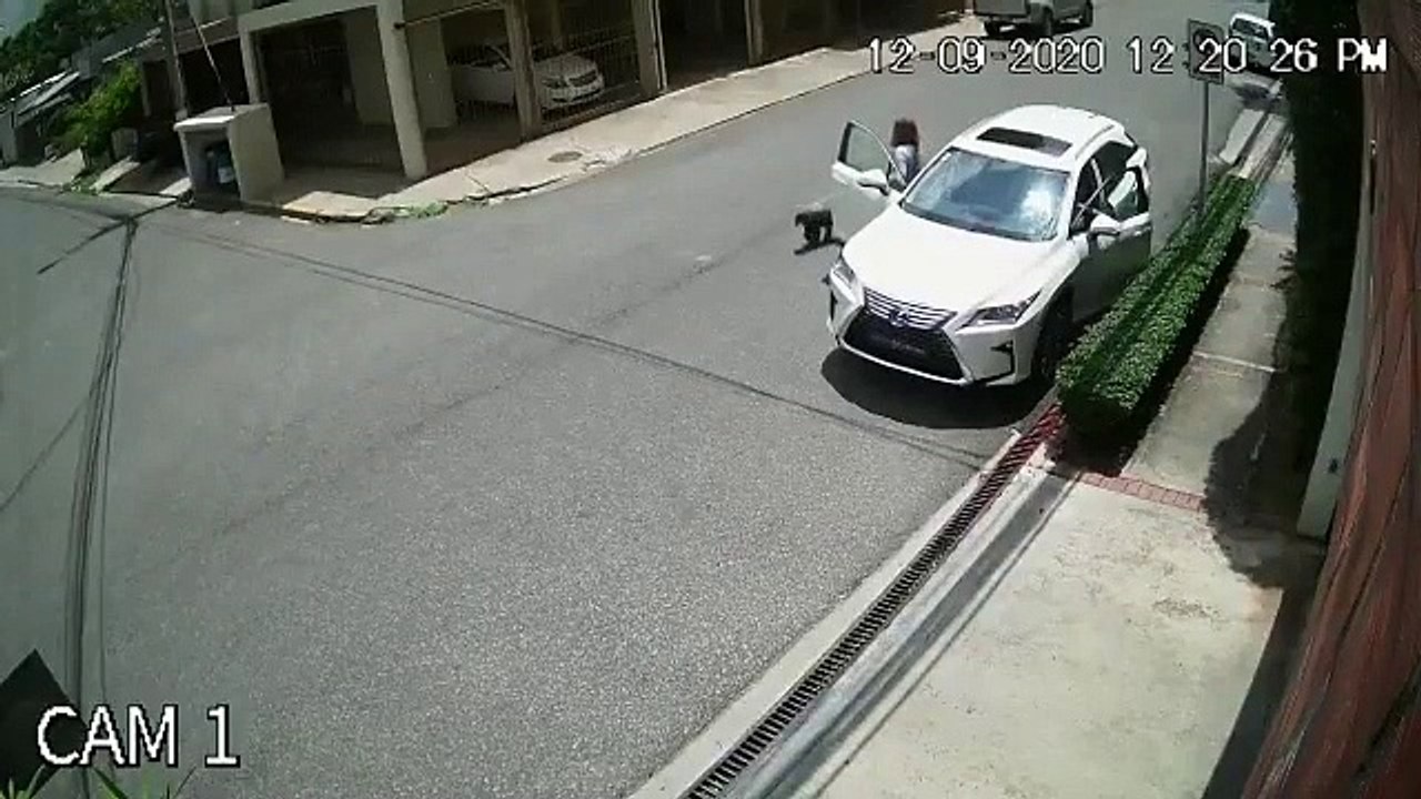 Captado en cámara momento del asalto a Mariasela Álvarez y su hija