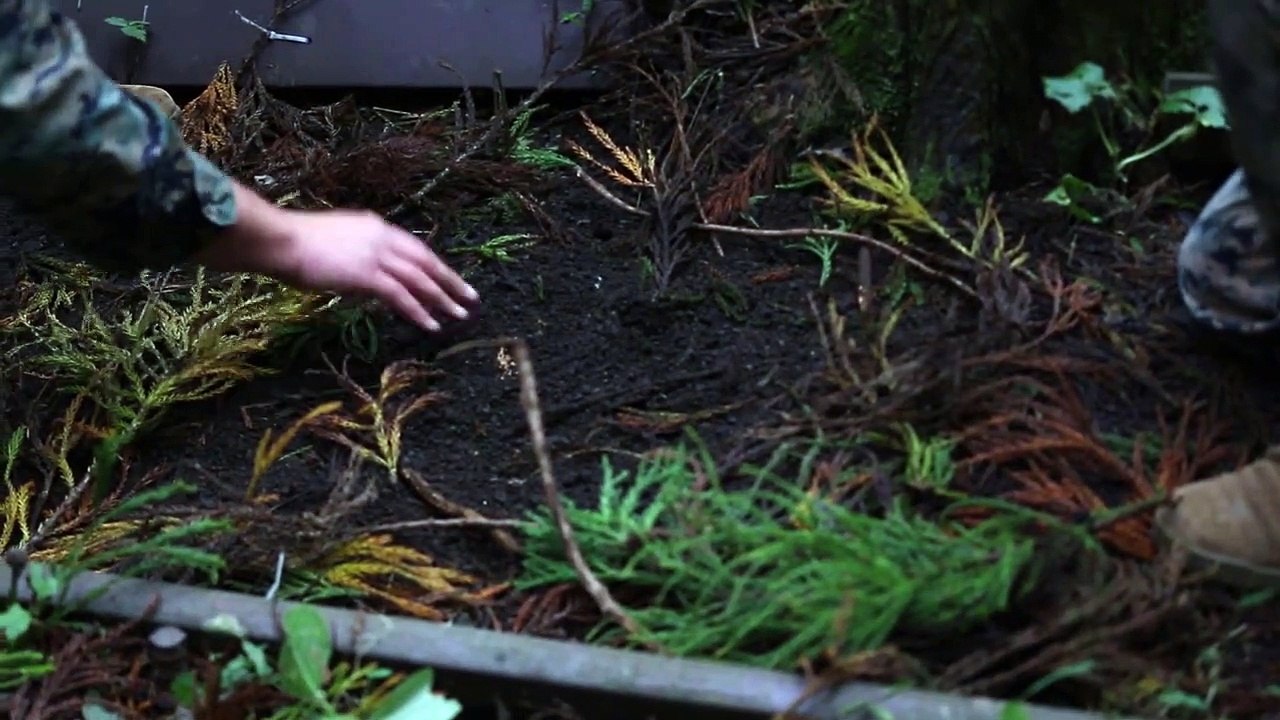 U.S. Marines • Explosive Ordnance Disposal Training • Exercise Fuji Viper • Japan