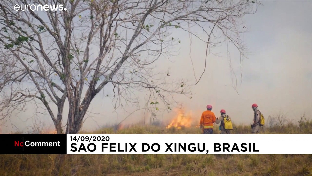 Brasilien: Regenwald steht in Flammen - und es ist kein Regen in Sicht