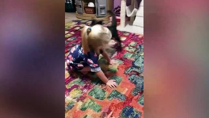 Baby and Cat Fun and Fails - Funny Baby Video