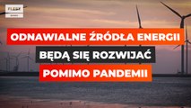 Odnawialne źródła energii będą się rozwijać pomimo pandemii