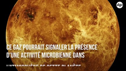 Des signes potentiels de vie détectés dans l'atmosphère de Vénus
