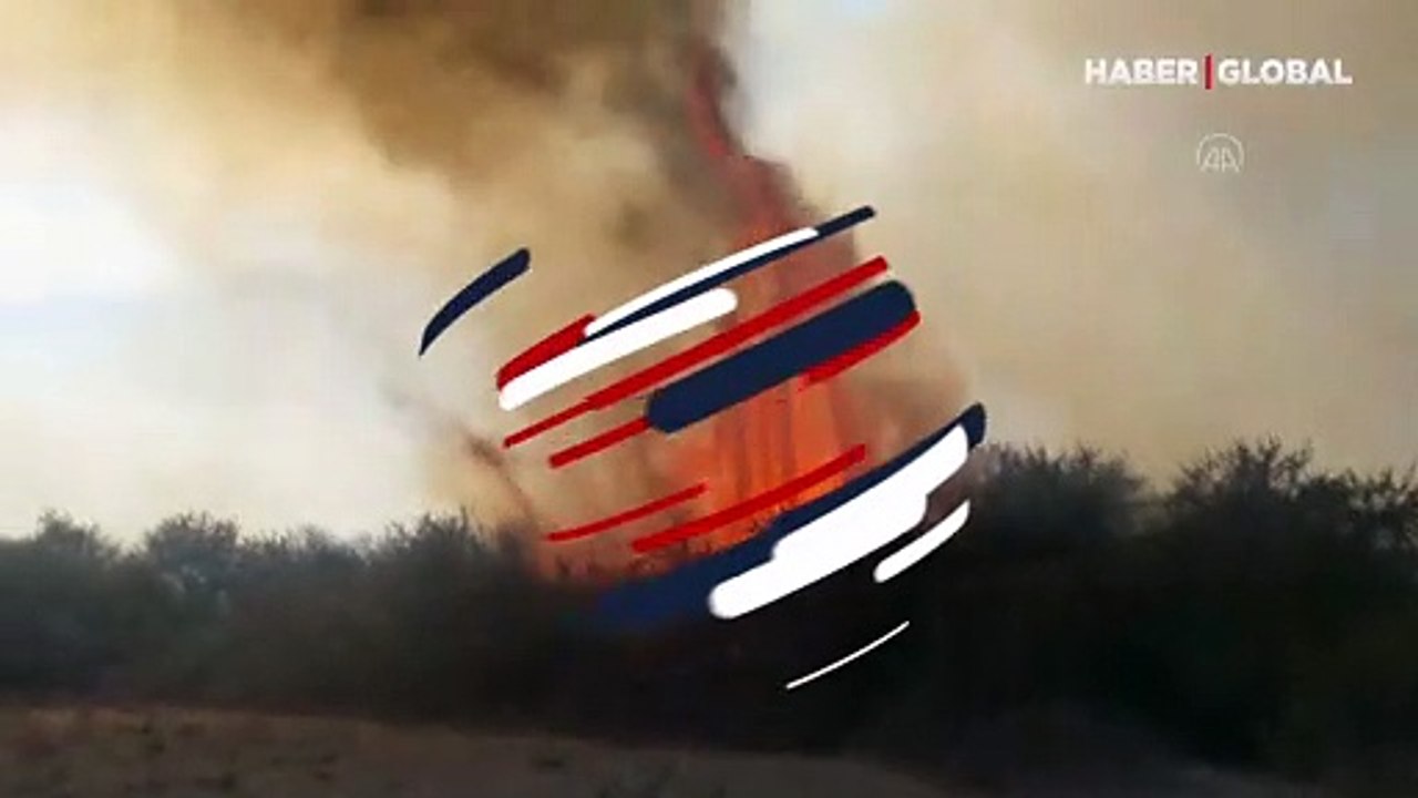Kızılırmak Deltası Kuş Cenneti'nde yangın