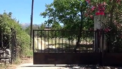 Pınar Gültekin'in otopsi raporu kan dondurdu