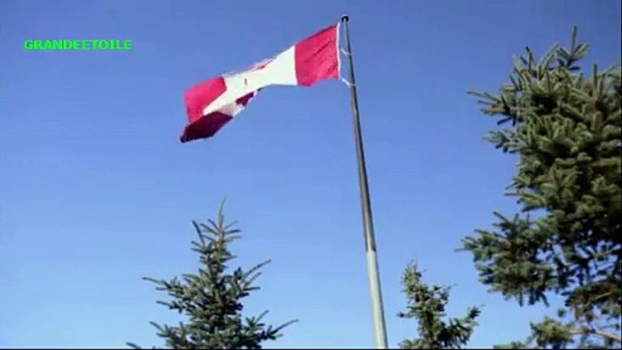 Les monstres qui vivent en moi : Le colonisateur de cerveau