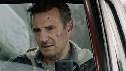 UM ÚLTIMO GOLPE Filme - Liam Neeson