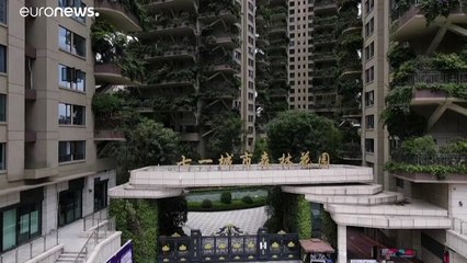 شاهد: حين تتحول النباتات إلى نقمة في مشروع مدينة خضراء في الصين