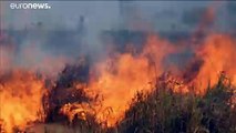 شاهد: الحرائق تتجدد وتلتهم مساحات شاسعة في غابات الأمازون