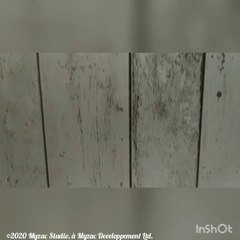 11 Différentes Réactions Face Au Corona Virus ||| Les Parodies Gros