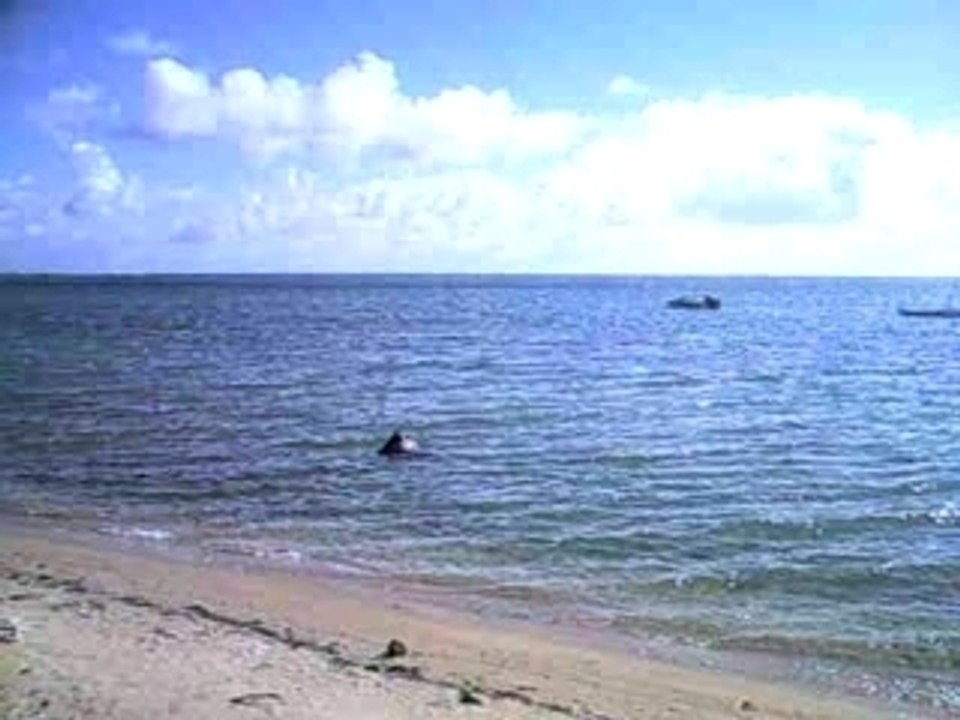 playa