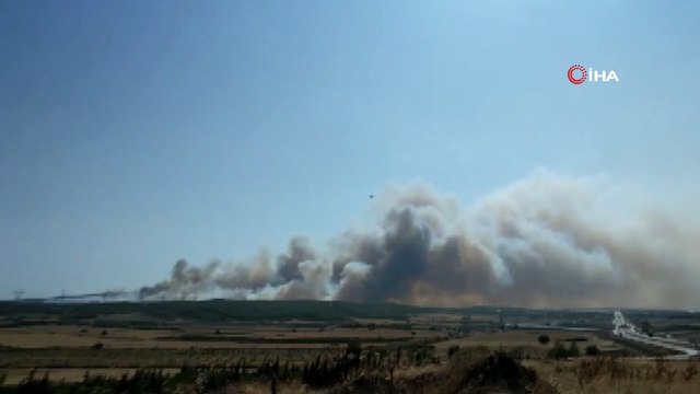 Gelibolu yine yanıyor... Yangına havadan ve karadan müdahale ediliyor