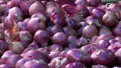 प्याज़ के एक्सपोर्ट पर फिर प्रतिबंध, पिछले तीन साल से निर्यात में भारी गिरावट