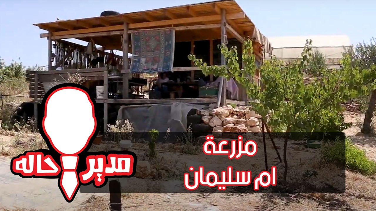 الحلقة الثالثة - مزرعة ام سليمان - مدير حاله