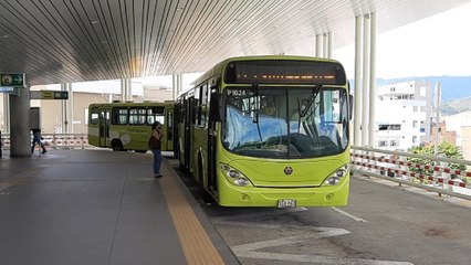 Sistema de transporte Metrolínea se acoge a la ley de reestructuración de pasivos